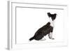 Mutt-Fabio Petroni-Framed Photographic Print