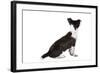 Mutt-Fabio Petroni-Framed Photographic Print