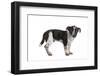 Mutt-Fabio Petroni-Framed Photographic Print