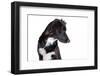 Mutt-Fabio Petroni-Framed Photographic Print