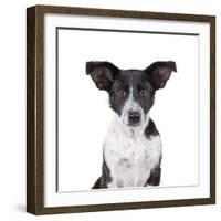 Mutt-Fabio Petroni-Framed Photographic Print