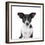 Mutt-Fabio Petroni-Framed Photographic Print