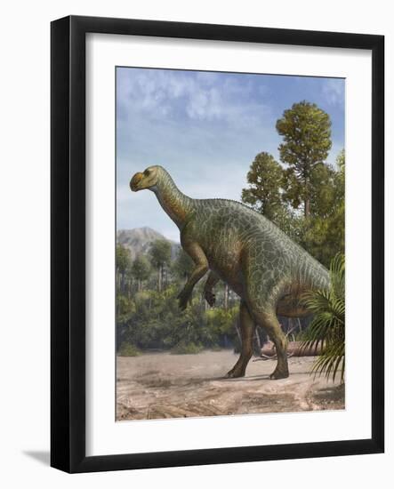 Muttaburrasaurus Langdoni in a Prehistoric Environment-null-Framed Art Print