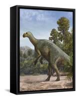 Muttaburrasaurus Langdoni in a Prehistoric Environment-null-Framed Stretched Canvas