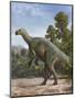 Muttaburrasaurus Langdoni in a Prehistoric Environment-null-Mounted Art Print