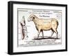 Mutton: Diagram Depicting the Different Cuts of Meat-null-Framed Giclee Print