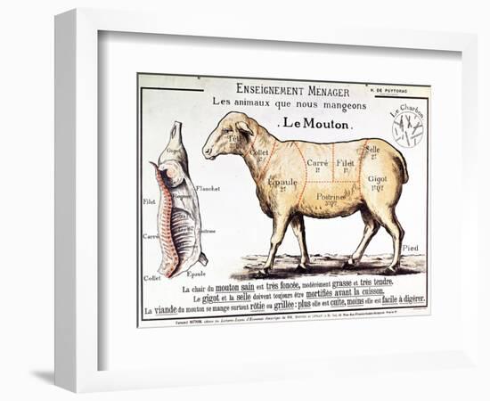 Mutton: Diagram Depicting the Different Cuts of Meat-null-Framed Giclee Print