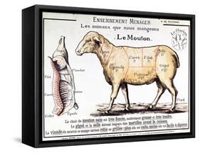 Mutton: Diagram Depicting the Different Cuts of Meat-null-Framed Stretched Canvas