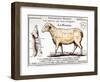 Mutton: Diagram Depicting the Different Cuts of Meat-null-Framed Premium Giclee Print