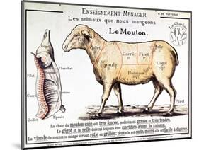Mutton: Diagram Depicting the Different Cuts of Meat-null-Mounted Premium Giclee Print