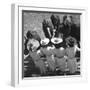 Mutual Admiration-The Chelsea Collection-Framed Art Print