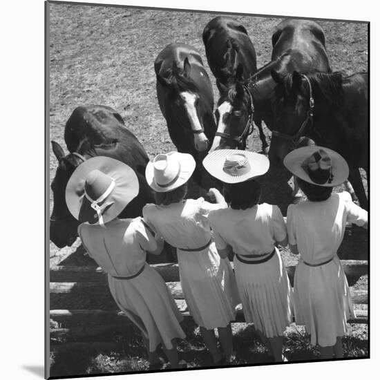 Mutual Admiration-The Chelsea Collection-Mounted Art Print