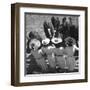 Mutual Admiration-The Chelsea Collection-Framed Art Print