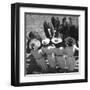 Mutual Admiration-The Chelsea Collection-Framed Art Print