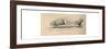 'Mutual attachment', 1852-John Leech-Framed Giclee Print