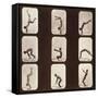 Muybridge Locomotion, Back Hand Spring, 1881-Science Source-Framed Stretched Canvas