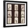 Muybridge Locomotion, Back Hand Spring, 1881-Science Source-Framed Giclee Print