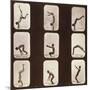 Muybridge Locomotion, Back Hand Spring, 1881-Science Source-Mounted Giclee Print