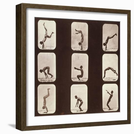 Muybridge Locomotion, Back Hand Spring, 1881-Science Source-Framed Giclee Print