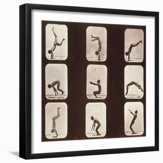 Muybridge Locomotion, Back Hand Spring, 1881-Science Source-Framed Giclee Print