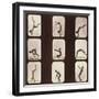 Muybridge Locomotion, Back Hand Spring, 1881-Science Source-Framed Giclee Print