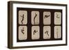 Muybridge Locomotion, Back Somersault, 1881-Science Source-Framed Giclee Print