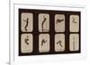 Muybridge Locomotion, Back Somersault, 1881-Science Source-Framed Giclee Print