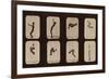 Muybridge Locomotion, Back Somersault, 1881-Science Source-Framed Giclee Print