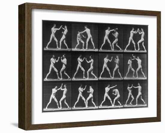 Muybridge Locomotion, Men Boxing, 1887-Science Source-Framed Giclee Print