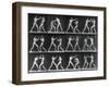 Muybridge Locomotion, Men Boxing, 1887-Science Source-Framed Giclee Print