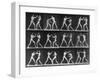 Muybridge Locomotion, Men Boxing, 1887-Science Source-Framed Giclee Print