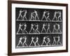 Muybridge Locomotion, Men Boxing, 1887-Science Source-Framed Giclee Print