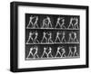 Muybridge Locomotion, Men Boxing, 1887-Science Source-Framed Giclee Print