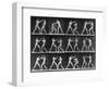 Muybridge Locomotion, Men Boxing, 1887-Science Source-Framed Giclee Print