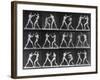 Muybridge Locomotion, Men Boxing, 1887-Science Source-Framed Giclee Print