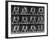 Muybridge Locomotion, Men Boxing, 1887-Science Source-Framed Giclee Print