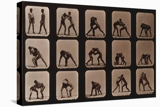Muybridge Locomotion, Men Wrestling, 1881-Science Source-Stretched Canvas