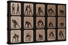 Muybridge Locomotion, Men Wrestling, 1881-Science Source-Stretched Canvas
