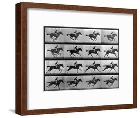 Muybridge Locomotion, Racehorse Galloping, 1887-Science Source-Framed Giclee Print