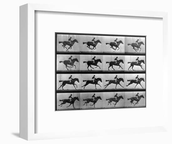 Muybridge Locomotion, Racehorse Galloping, 1887-Science Source-Framed Giclee Print