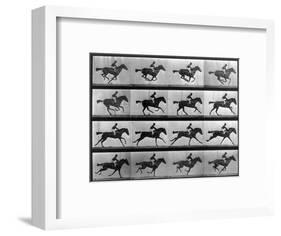 Muybridge Locomotion, Racehorse Galloping, 1887-Science Source-Framed Giclee Print