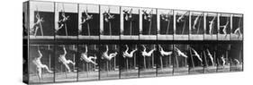 Muybridge: Photography-Eadweard Muybridge-Stretched Canvas