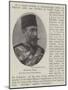 Muzaffer Pasha, New Governor of the Lebanon-null-Mounted Giclee Print