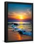Essential Black
