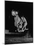 Muzzled Greyhound Captured at Full Speed by High Speed Camera in Race at Wonderland Track-Gjon Mili-Mounted Photographic Print