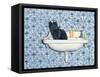 My Bathroom Cat-Ditz-Framed Stretched Canvas