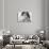 My Beautiful Mane-Lisa Dearing-Photographic Print displayed on a wall