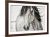 My Beautiful Mane-Lisa Dearing-Framed Photographic Print