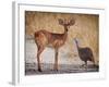 My best friend-Mathilde Guillemot-Framed Photographic Print