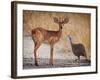 My best friend-Mathilde Guillemot-Framed Photographic Print